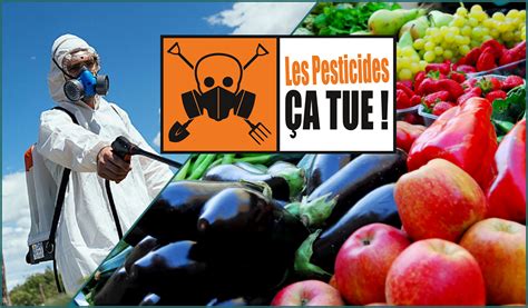 Assortiment de fruits et légumes non bio avec des étiquettes de pesticides