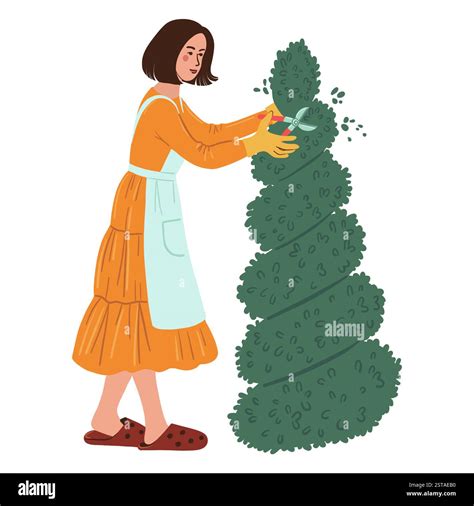Illustration représentant un jardinier taillant un topiaire