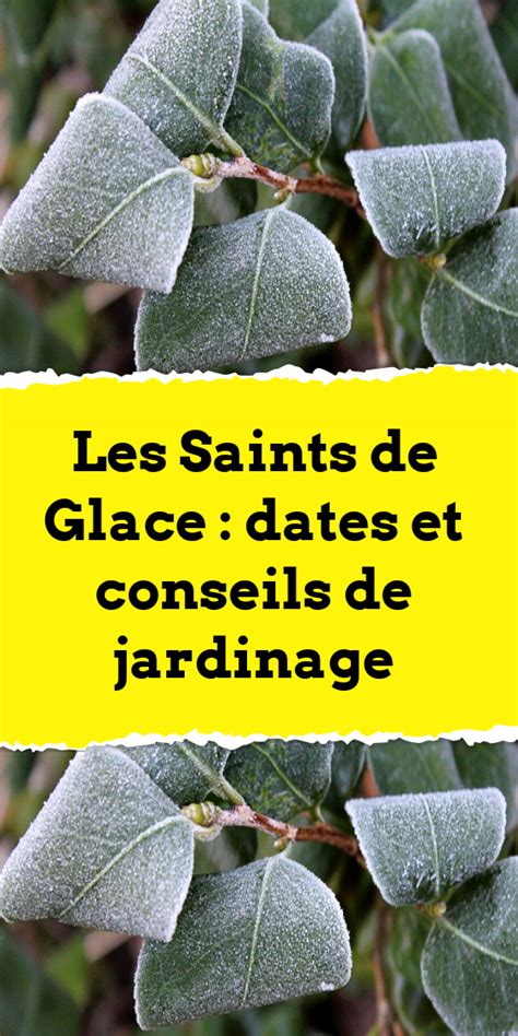 Tableau des dates des Saints de glace et légumes à planter après