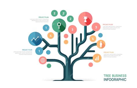 infographie croissance arbre