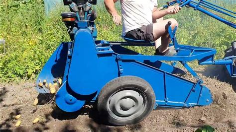 Motoculteur avec arracheuse de pommes de terre en action