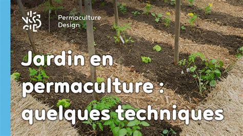 Techniques de culture en permaculture