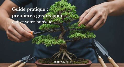 Composition du substrat idéal pour bonsaï