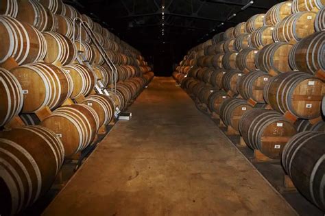 Barriques de chêne dans un chai de vieillissement