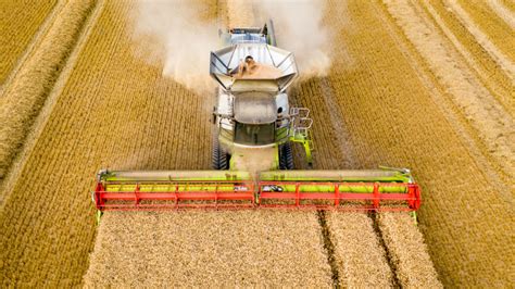 Vignoble avec des machines agricoles