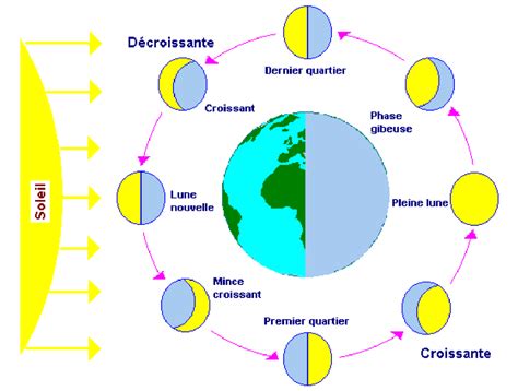 Illustration de la Terre et de la Lune avec des plantes stylisées