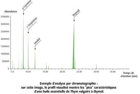 Chromatogramme schématique d'huile essentielle