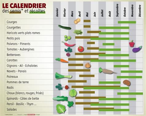 illustration d'un calendrier de jardinage avec des légumes saisonniers