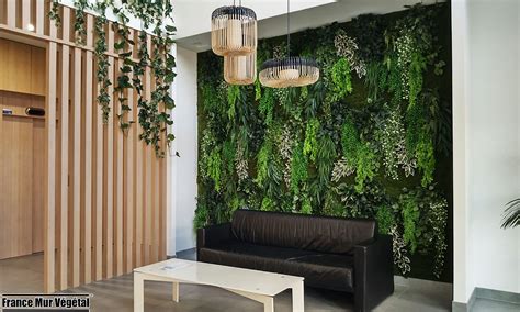 mur végétal intérieur avec du lierre