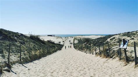Dunes sauvages de la côte atlantique