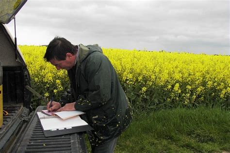 Inspecteur contrôlant une parcelle de semences