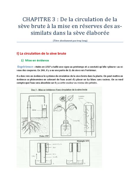 Diagramme illustrant l'impact de la taille sur la circulation de la sève et la fructification