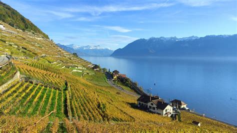 Vignoble suisse