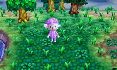 Mauvaises herbes dans Animal Crossing