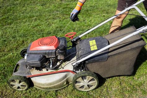 jardinier utilisant une tondeuse pour broyer des végétaux