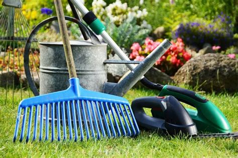 Conseils pour l'entretien d'un jardin