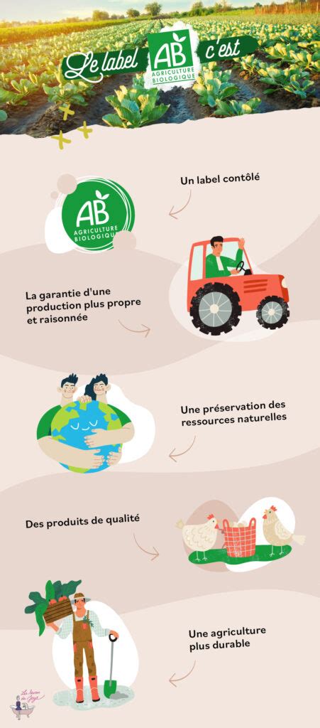 Infographie sur les certifications et labels en agriculture biologique