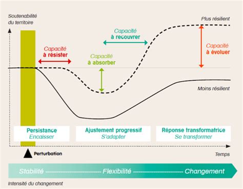 Schéma des mécanismes de résilience après un traumatisme