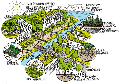Schéma illustrant la biodiversité dans un jardin urbain