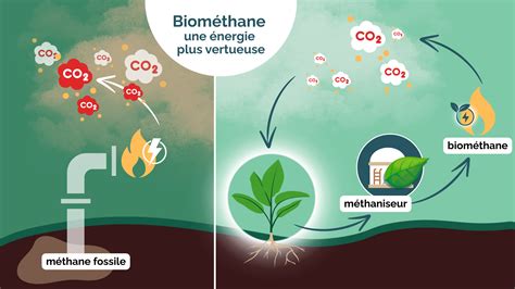 Comparaison entre compostage et méthanisation