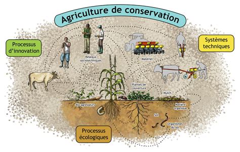 Schéma explicatif de l'agriculture raisonnée