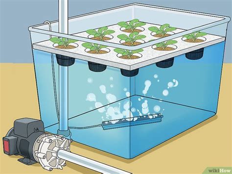 Schéma d'un système de culture hydroponique typique