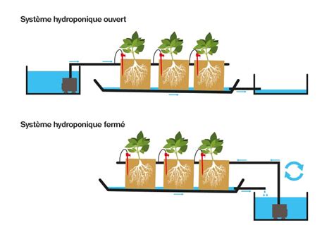 Schéma explicatif d'un système hydroponique en circuit fermé avec zone racinaire oxygénée