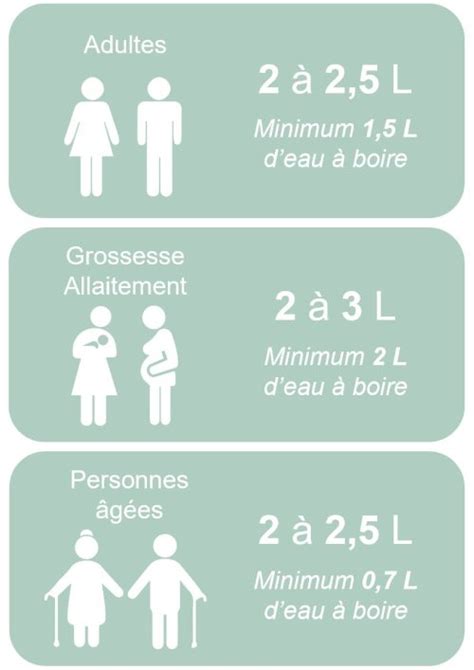 Diagramme illustrant les besoins en eau du bonsaï de Thuja