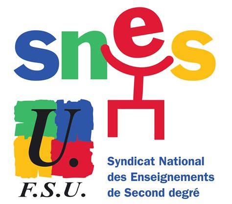 Avis SNES-FSU sur le statut des AED pré-professionnalisation