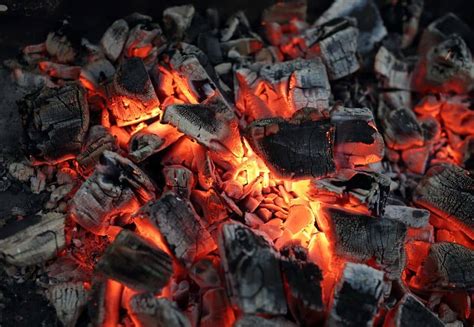 Main épandant des cendres de bois sur la terre