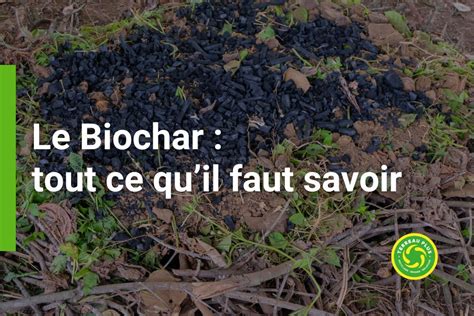 Infographie sur les bienfaits du biochar pour le sol