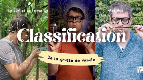 Différentes qualités de gousses de vanille