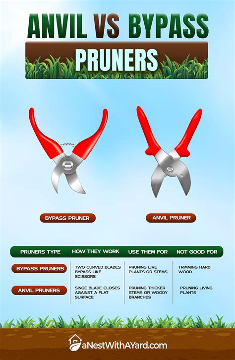 Diagram of bypass vs. anvil pruning shears