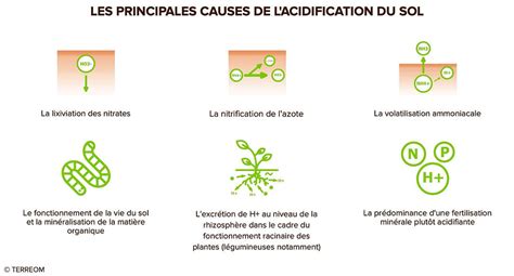 Infographie sur l'impact de l'acidification sur la structure du sol