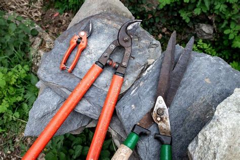Exemples d'objets tranchants fréquemment utilisés pour les scarifications