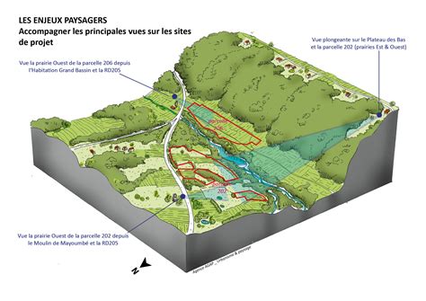 Intégration paysagère des Lierres avec la végétation