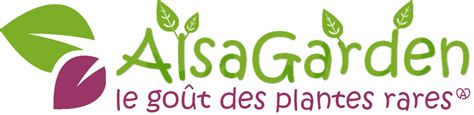 Logo ou visuel d'une graineterie en ligne avec des semences