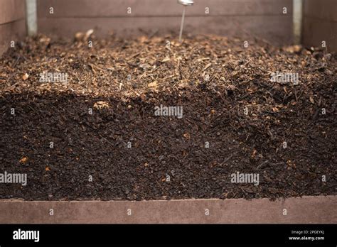 Compost mûr pour le jardin