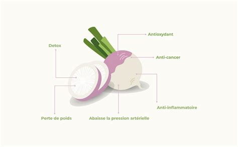 Infographie sur les bienfaits nutritionnels du navet