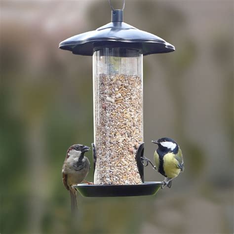 Mangeoire à oiseaux avec des graines de tournesol