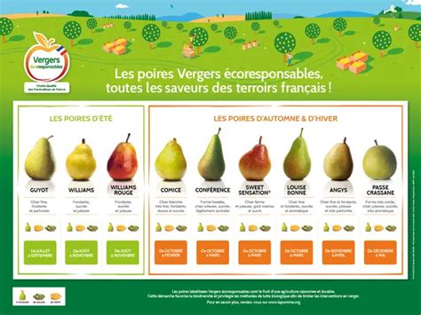 Tableau comparatif des variétés de poires : période de récolte, goût, conservation