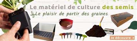 Matériel essentiel pour les semis de tomates