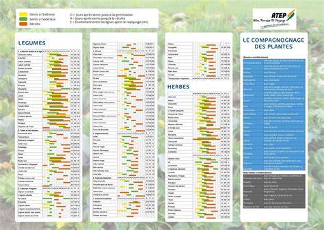 Tableau des dates de semis et de plantation selon la région