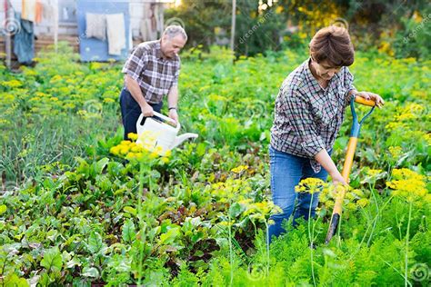 personne jardinant et se musclant