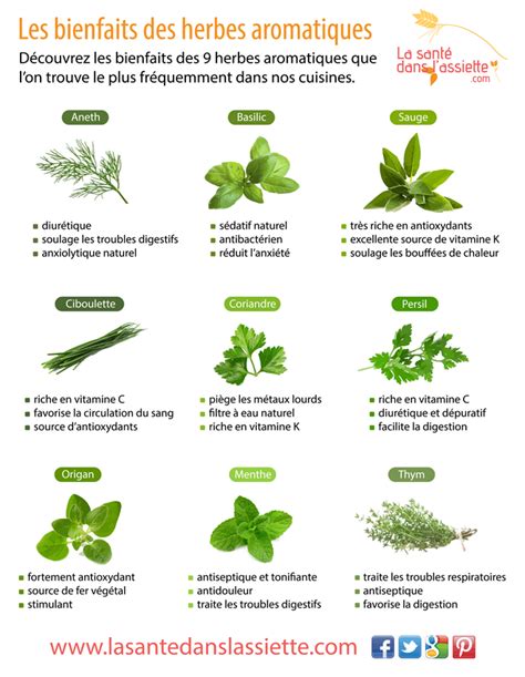 infographie herbes aromatiques et leurs bienfaits