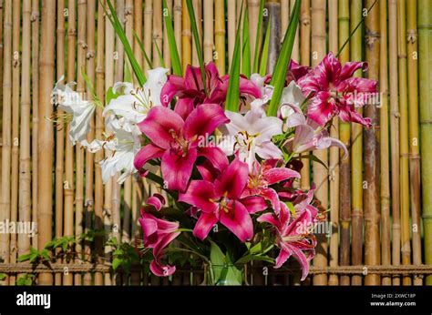 Un bouquet de lys asiatiques et orientaux variés