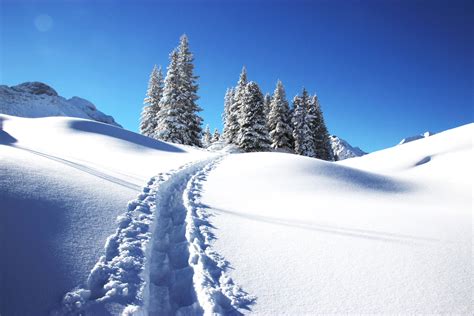 Coureurs sur les pistes enneigées avec vue sur les montagnes