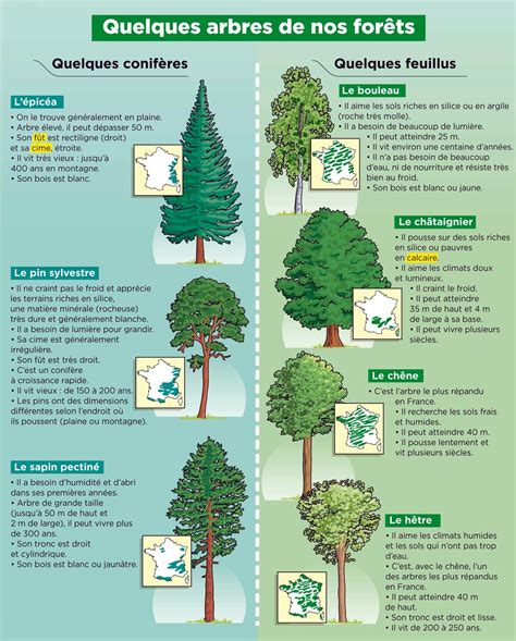 Illustration montrant deux types d'arbres porte-dents avec des différences subtiles (trou vs. plat)