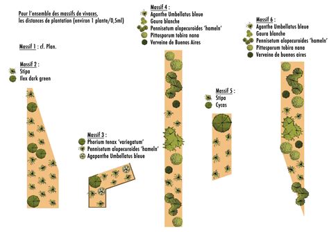 Plan de plantation de sapins en ligne