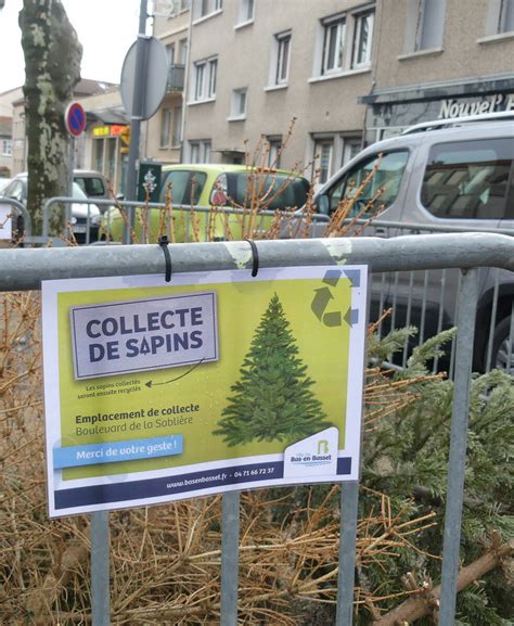 Point de collecte de sapins de Noël